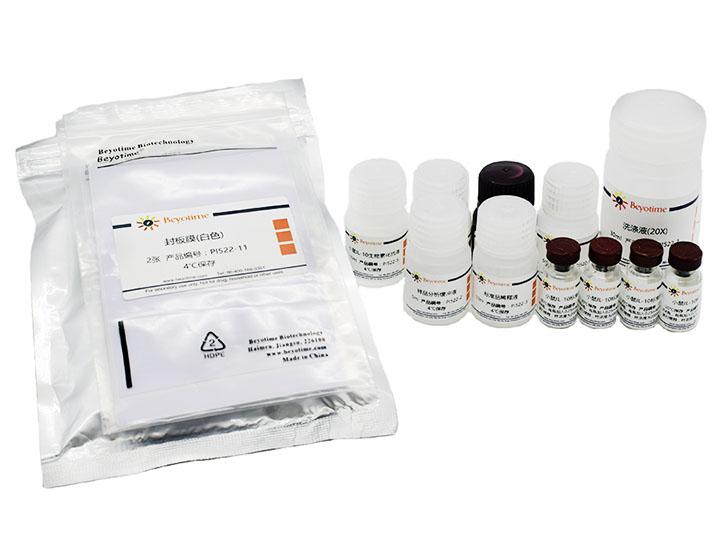 Mouse IL-10 ELISA Kit